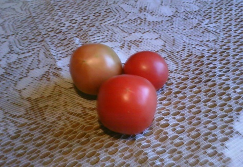 tomatpotatis på bordet