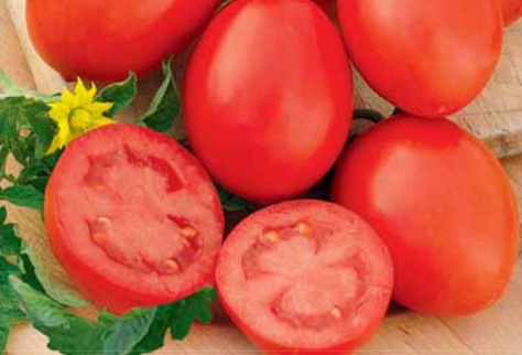 appearance of tomato marusya