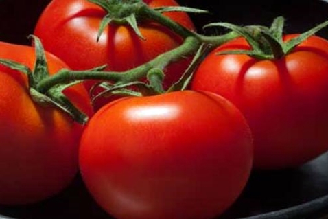 pomidorų išvaizda 100 procentų f1