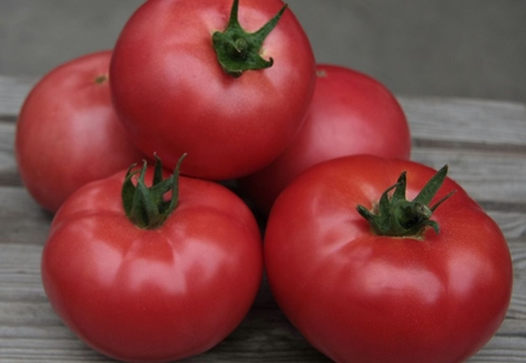 kibo-tomaatti pöydällä