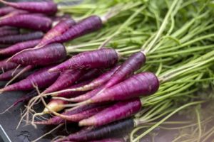 Violetinių morkų auginimo naudingos savybės, aprašymas ir ypatybės