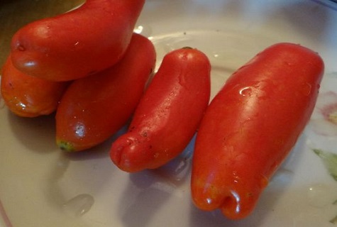 šlapi pomidorai