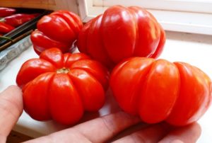 Tomaattilajikkeen Lorraine kauneuden kuvaus ja ominaisuudet