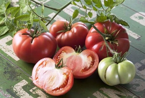 plucked tomatoes