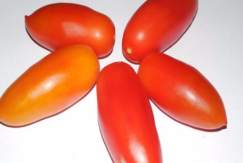 tomaat op witte achtergrond