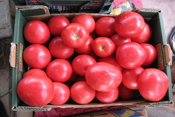 laatikko tomaattia