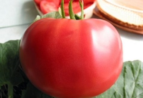 tomatgröda rosa gel