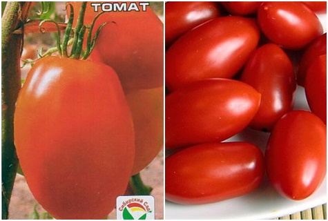 Księżniczka nasion pomidora