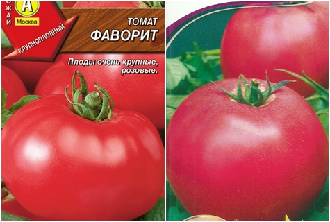 Tomatensamen Favorit