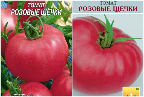 tomato seeds pink cheeks