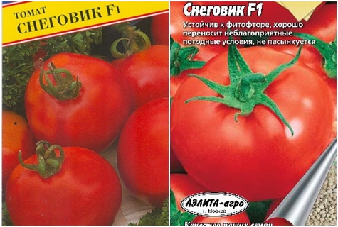rajčatová semínka Sněhulák f1