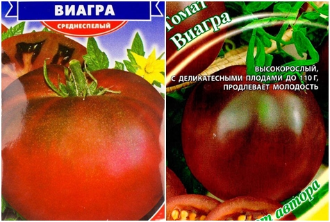 σπόροι ντομάτας viagra