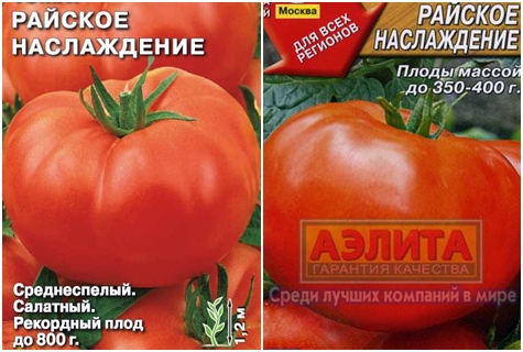 paradajkové semená nebeské potešenie