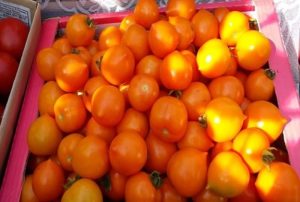Beschrijving en kenmerken van het tomatenras Eendje
