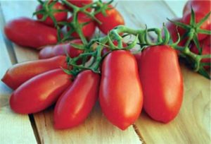 Egenskaper och beskrivning av tomatsorten Du slickar fingrarna, dess utbyte