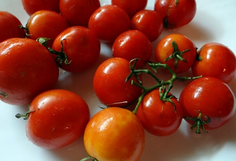 ein Haufen Tomaten weit im Norden