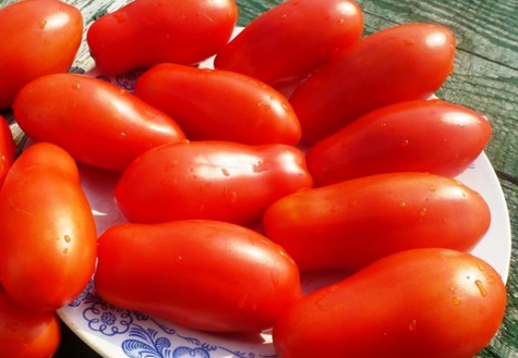 pomidorų ledi pirštų išvaizda