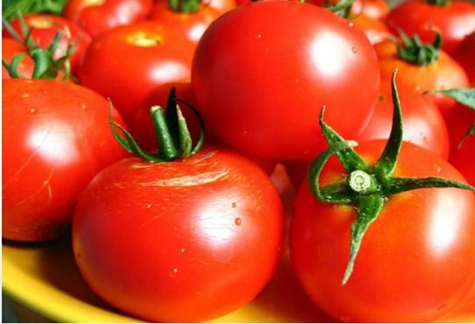 tomatenrasquiz