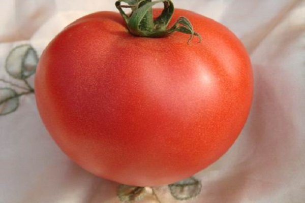 kleine entkernte Tomate