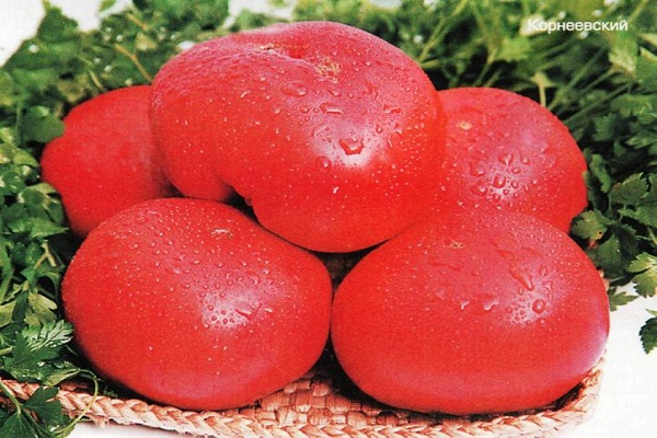 kondenzacija na rajčici