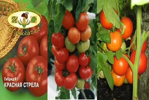 hybrid av grönsaker