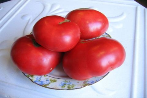 tomater i en vas