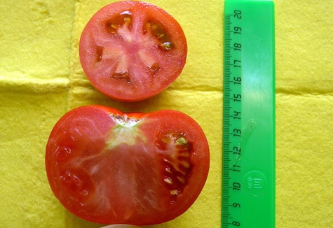 Aussehen der tomatenrosa Lösung