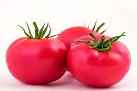 rausvųjų samsono pomidorų veislė