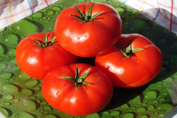 tomater mot sjukdomar