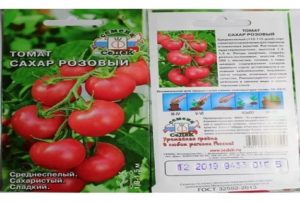 Caratteristiche e descrizione della varietà di pomodoro Zucchero di canna, resa