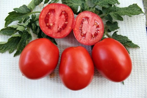 tomaatti Countryman ulkonäkö