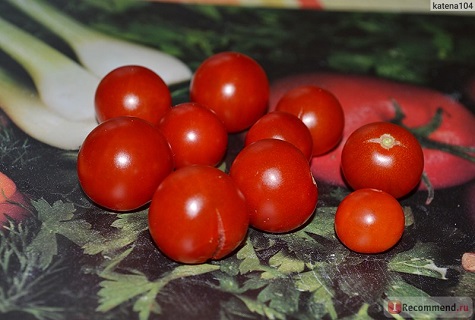 mini tomat
