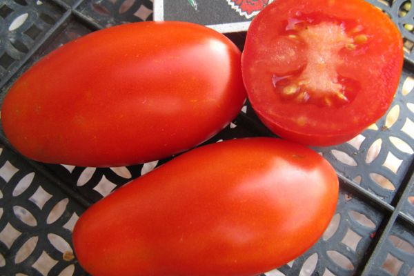 Nogatavojušies tomāti