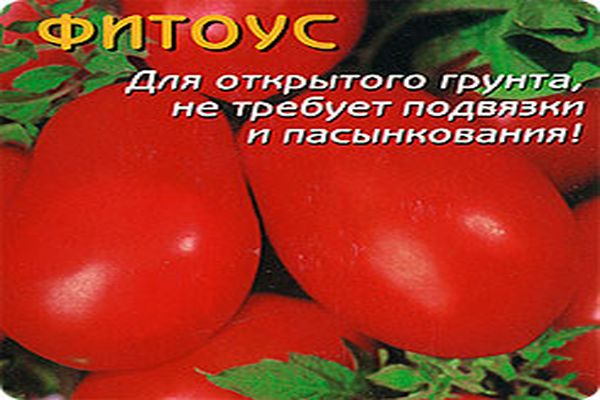 fytous rajčete