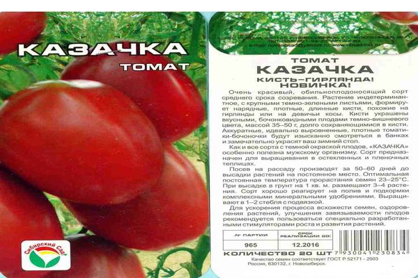 tomātu sēklas kazachka