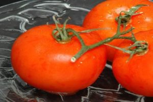 Mô tả về giống cà chua mật và năng suất của nó