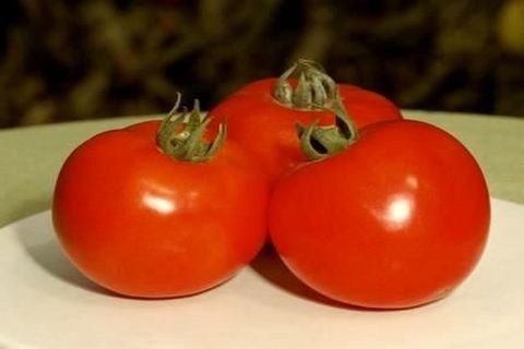 tomate en un plato
