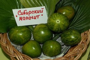 Descrizione della varietà di pomodoro Malachite siberiana e delle sue caratteristiche