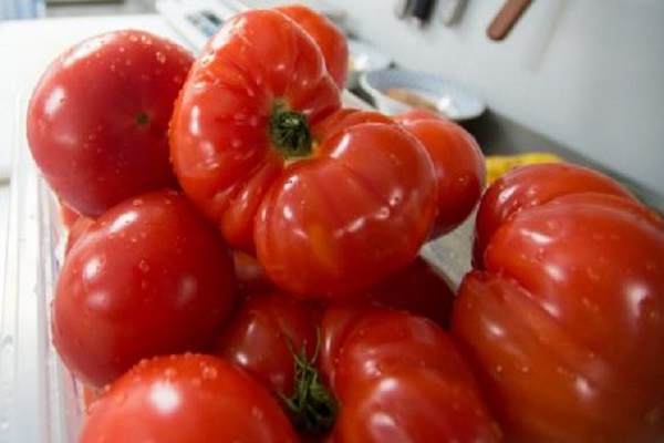 prezidentské paradajky