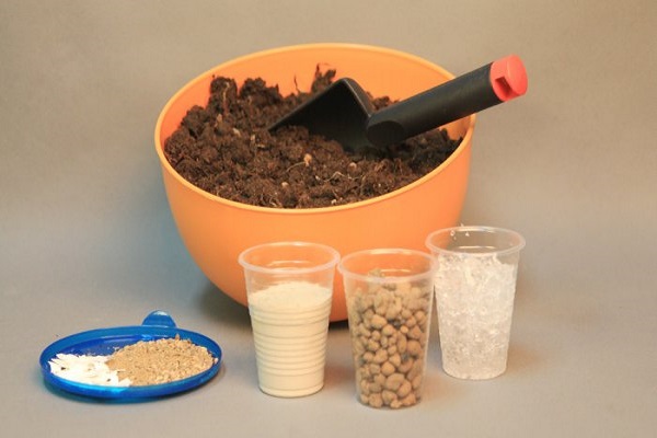 préparation du sol