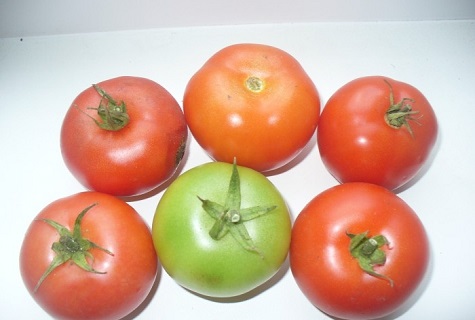 sechs Tomaten