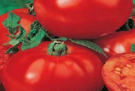 pomidorowa martwa natura