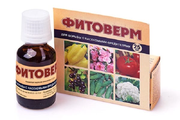 phytoverm forberedelse