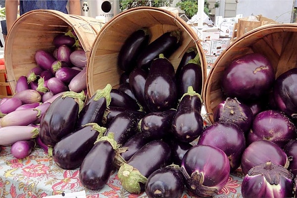 eggplant to the detriment