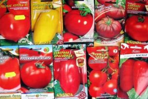 Geriausios olandiškų pomidorų sėklų veislės šiltnamiams ir atvirame lauke