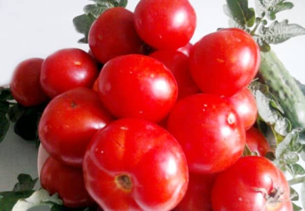 cornet tomatoes