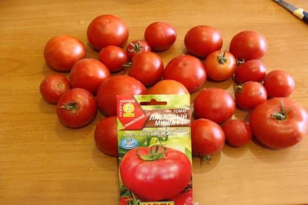 Anbau von Tomatensorten