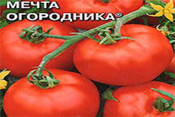 de droom van de tomatentuinier