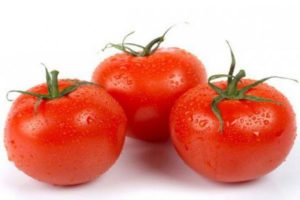 Charakteristika a opis odrody paradajok Sen záhradníka, jeho výnos