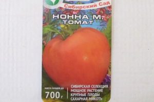 Opis odmiany pomidora Nonna m, jej plonu i uprawy